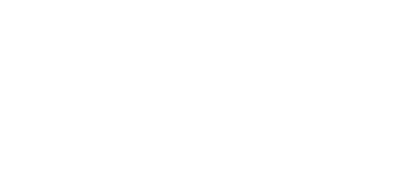 Chapter 1- Types of cured ham.
Differences and characteristics.