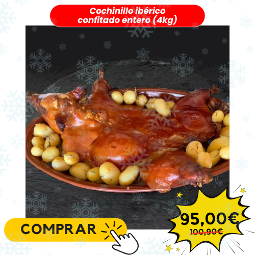 Cesta de paleta de bellota 100%